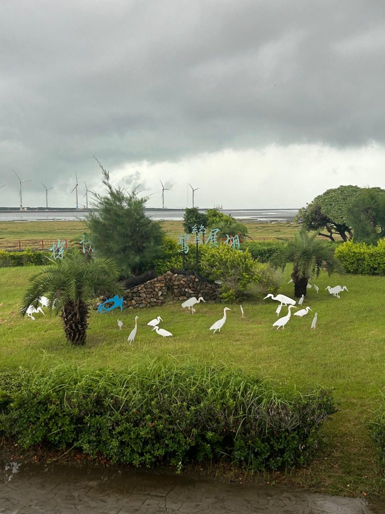 来到台中最期待就是在高美湿地看夕阳，谁知天公不作美，下次再来。 （高静娴摄）
