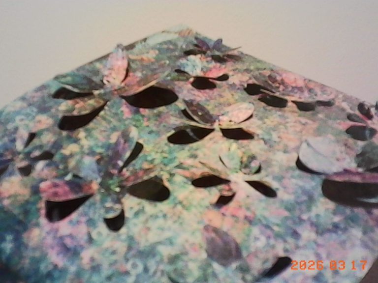 花开安泰。（作者提供）